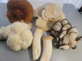 Mix